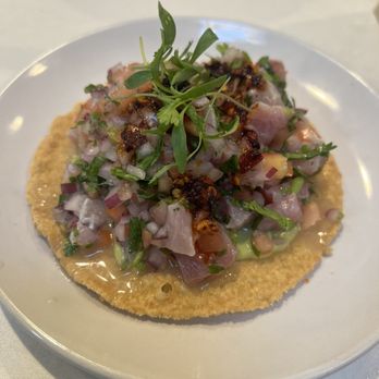 Holbox - Yellowtail tostada - Latin American Near Me - Los Angeles, California