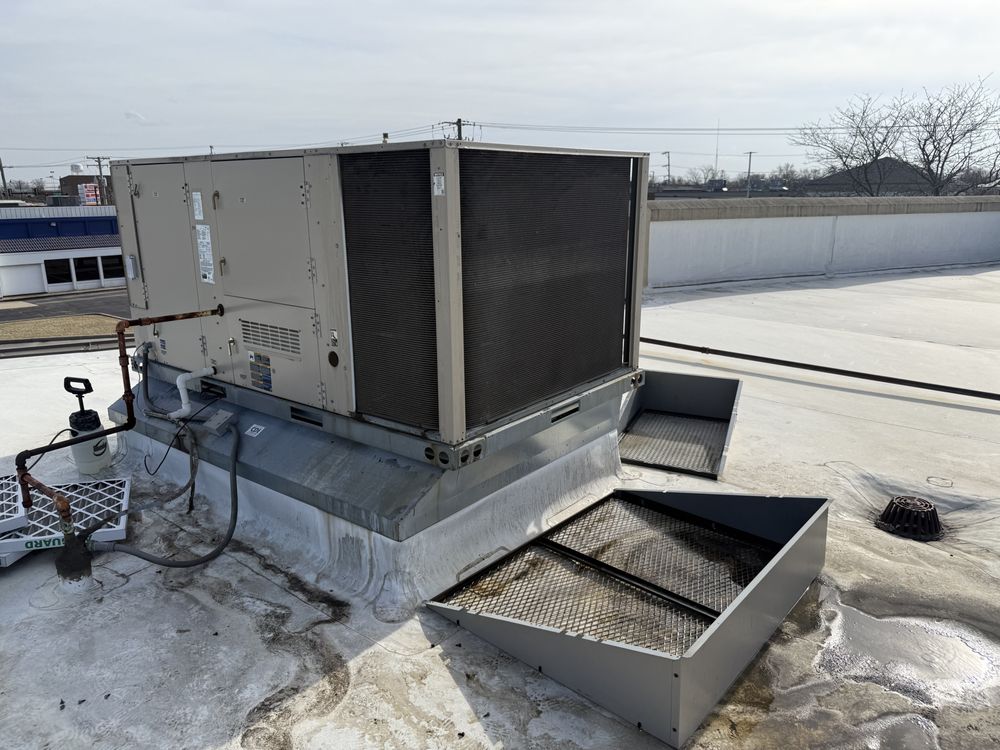 Slide of Only Foster Home Services