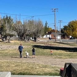Tully Park
