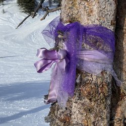Marmot Basin