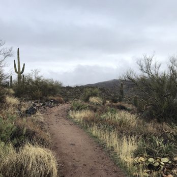 Spur Cross Ranch Conservation Area - Parks Near Me - Cave Creek, Arizona