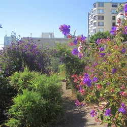 Broadway Tunnel East Mini Park - Broadway Gardens