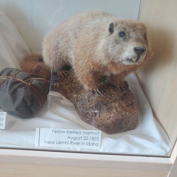Lewis and Clark Visitor Center - Visitor Centers Near Me - Omaha, Nebraska