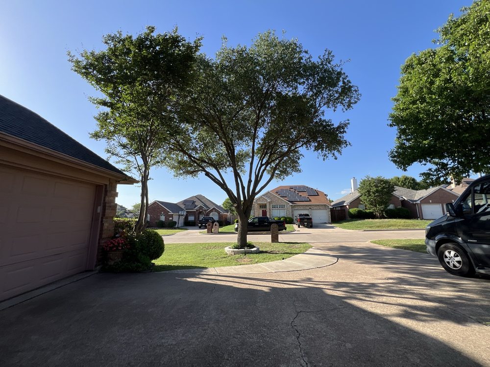 Infinity Tree Service - tree service in Dallas, TX