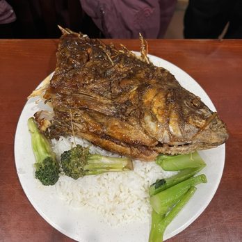 Fuji Japanese Buffet - Buffets Near Me - Madison Heights, Michigan Fuji Japanese Buffet - Buffets Near Me - Madison Heights, Michigan