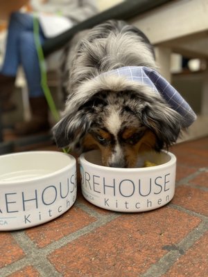 Shorehouse Kitchen Carlsbad by null