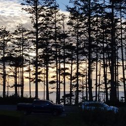 SR-109 the "Hidden Coast Scenic Byway" - SR-109 at Seabrook WA. This is the view from the Sunset Amphitheatre.