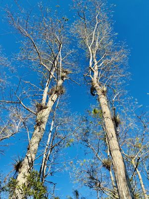 Kirby Storter Roadside Park by null