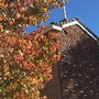 Photo of Sunland Neighborhood Church