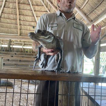 gator park - Awesome show!! - Boat Tours Near Me - Miami, Florida