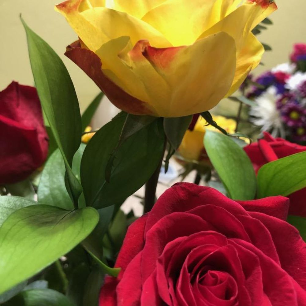 Dafferdil Floral Creations - Florists Near Me - Meridian, Idaho Dafferdil Floral Creations - Florists Near Me - Meridian, Idaho