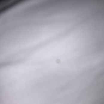 Black Forest Lodge - Bugs in bed - Hotels Near Me - Big Bear Lake, California Black Forest Lodge - Bugs in bed - Hotels Near Me - Big Bear Lake, California
