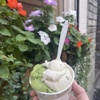 North End Creamery - Matcha ginger and honey vanilla - Ice Cream & Frozen Yogurt Near Me - Boston, Massachusetts North End Creamery - Matcha ginger and honey vanilla - Ice Cream & Frozen Yogurt Near Me - Boston, Massachusetts
