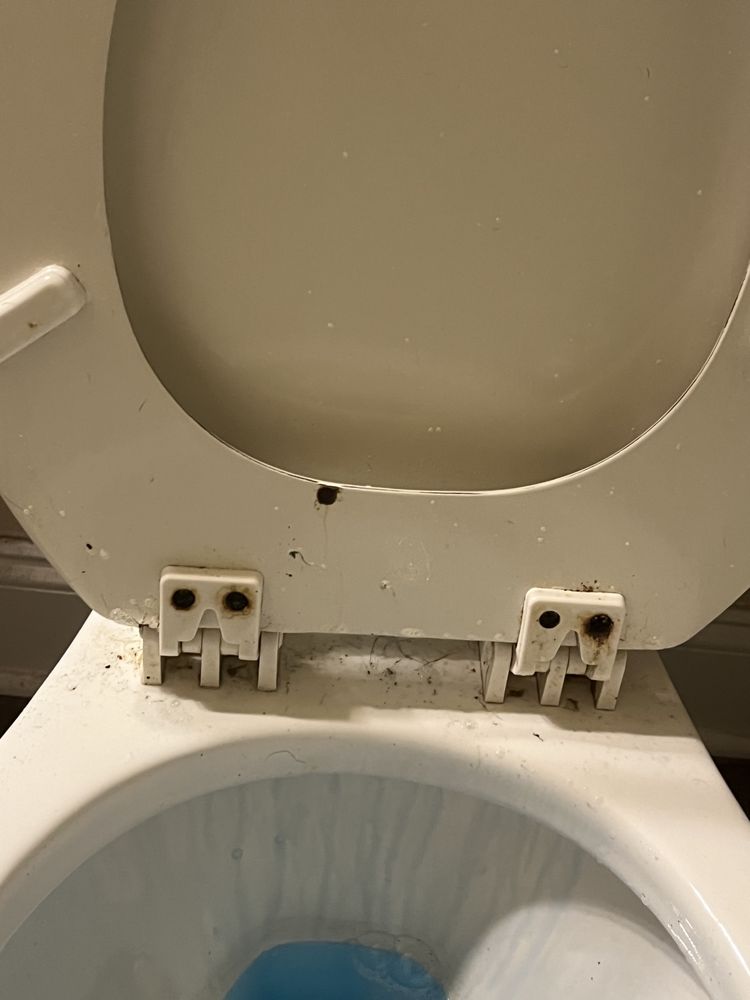 DREAM CATCHERS CLEANING 11 Photos Gulfport, Mississippi Home