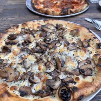 Gjelina - Mushroom , Fontine , Truffle Tremor Goat Cheese & Thyme Pizza - New American Near Me - Venice, California