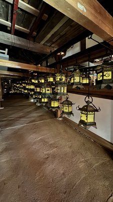 Kasugataisha Shrine by null