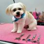 Photo of Jess Fur N Paw Salon
