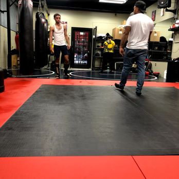 Mongoose Training Academy - Coach Miguel Teaching - Kickboxing Near Me - Middletown, Connecticut Mongoose Training Academy - Coach Miguel Teaching - Kickboxing Near Me - Middletown, Connecticut