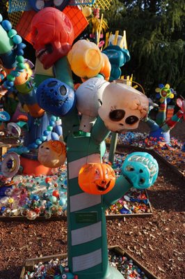 Jardín Botánico del Bosque de Chapultepec by null