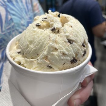 Arethusa Farm - Sweet Cream with Dark Chocolate Chunks - Ice Cream & Frozen Yogurt Near Me - New Haven, Connecticut Arethusa Farm - Sweet Cream with Dark Chocolate Chunks - Ice Cream & Frozen Yogurt Near Me - New Haven, Connecticut