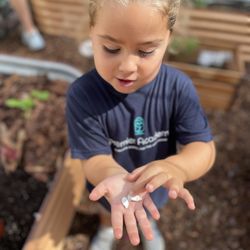 Premier Academy - Planting seeds in the garden!