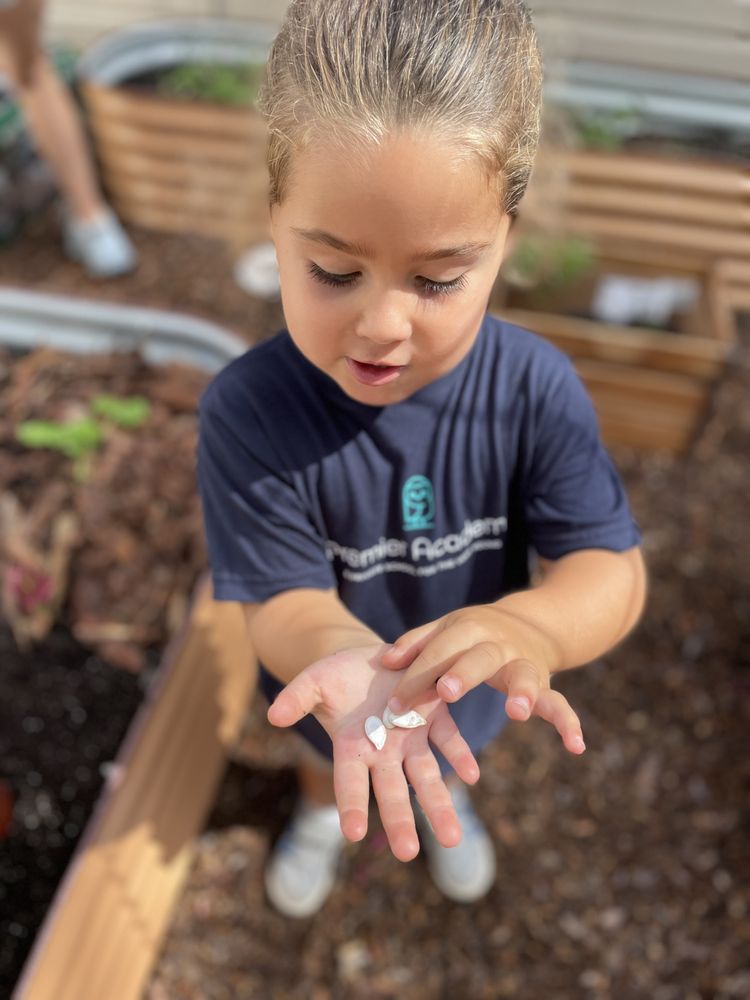 Premier Academy - childcare center in Windermere, FL