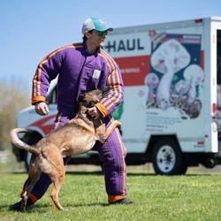 Fast Track Canine