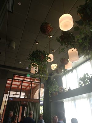 Water Bear Bar by null