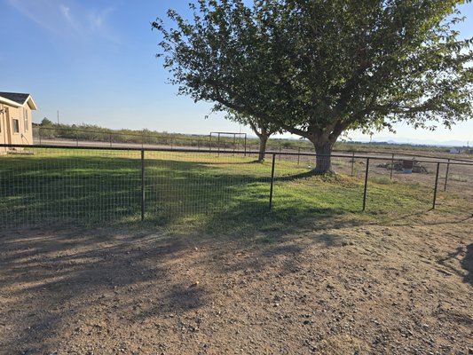 Yard fence - 4 foot yard fence with no climb Yard fence - 4 foot yard fence with no climb