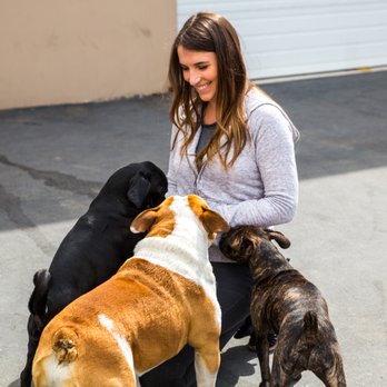 Ufuria - Pet Training Near Me - Rancho Cucamonga, California Ufuria - Pet Training Near Me - Rancho Cucamonga, California
