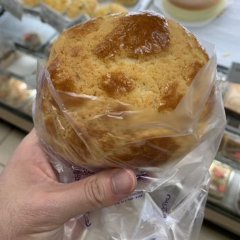 Yummy Bakery and Cafe - Pineapple Bun - Bakeries Near Me - San Francisco, California Yummy Bakery and Cafe - Pineapple Bun - Bakeries Near Me - San Francisco, California