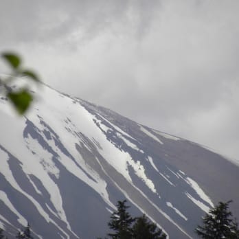 Alaska ATV Tours - ATV Rentals/Tours Near Me - Sitka, Alaska Alaska ATV Tours - ATV Rentals/Tours Near Me - Sitka, Alaska