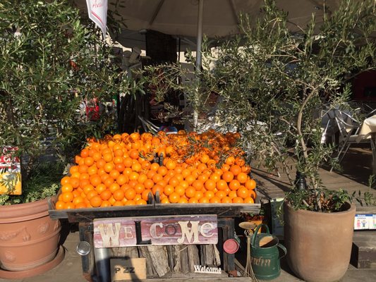 Caffè Ponte by null