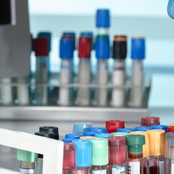 Labwork365