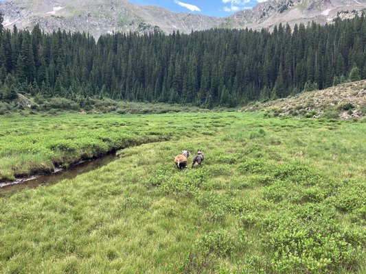 Taos Ski Valley by null