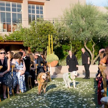 Wedding Tails - Event Planning & Services Near Me Wedding Tails - Event Planning & Services Near Me