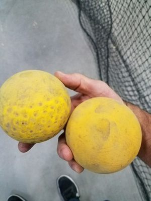 Photo of AZ GRIP-N-RIP Batting Cages - Queen Creek, AZ, US.