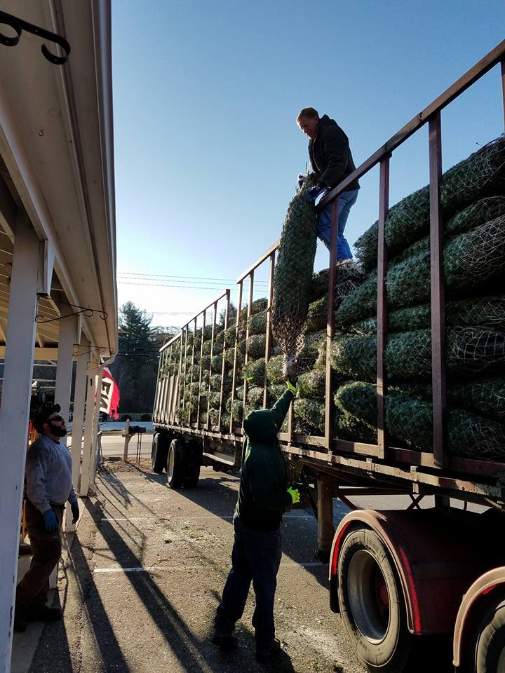 DODGE’S AGWAY Updated September 2024 149 Front St, Exeter, New Hampshire Home & Garden