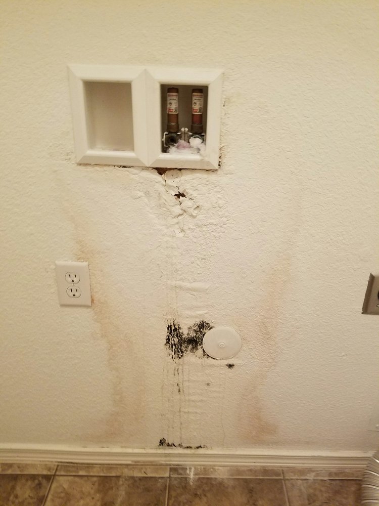 ARP RENTAL HOMES Updated October 2024 11 Photos & 22 Reviews