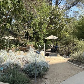UCLA Mathias Botanical Garden - Venues & Event Spaces Near Me - Los Angeles, California UCLA Mathias Botanical Garden - Venues & Event Spaces Near Me - Los Angeles, California