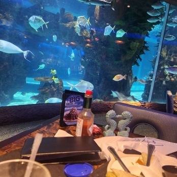 Aquarium Restaurant - Seafood Near Me - Nashville, Tennessee Aquarium Restaurant - Seafood Near Me - Nashville, Tennessee