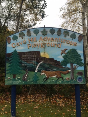 Cave Hill Country Park by null