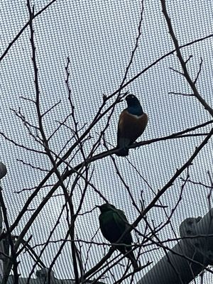 Mississippi Aquarium by null