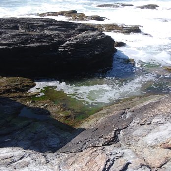 Beavertail State Park - Parks Near Me - Jamestown, Rhode Island