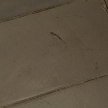 Good Impressions Cleaning - Carpet Cleaning Near Me - Staten Island, New York Good Impressions Cleaning - Carpet Cleaning Near Me - Staten Island, New York