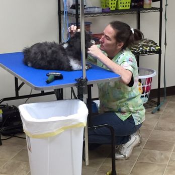 Barks, Bubbles, & More - Pet Groomers Near Me - New Ellenton, South Carolina Barks, Bubbles, & More - Pet Groomers Near Me - New Ellenton, South Carolina