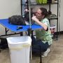 Barks, Bubbles, & More