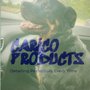 Photo of Carico Products