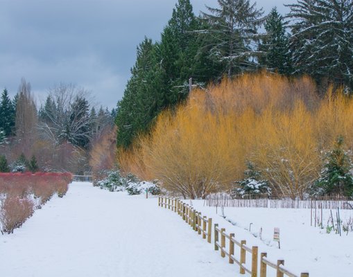 Larsen Lake Blueberry Farm by null
