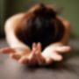 Photo of On Balance Yoga Therapy